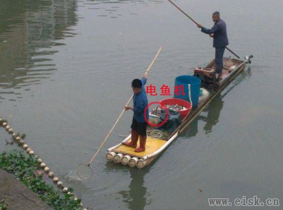 阳江河堤，大白天有人公然在非法电鱼...