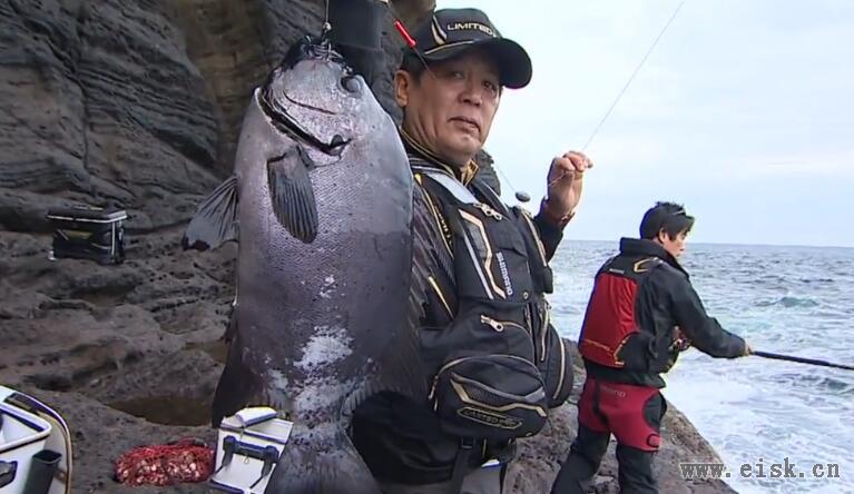 穂先に伝わる魚の鼓動！長崎県五島列島でイシダイ釣り