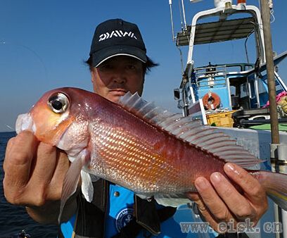 《Rapala游钓世界—日本篇》14种鱼的什锦钓
