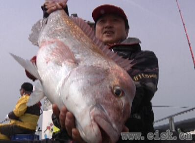 《Rapala游钓世界---韩国篇》追寻1.5米长的大真鲷