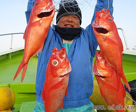 《Rapala游钓世界—日本篇》一万元的深海红鲷