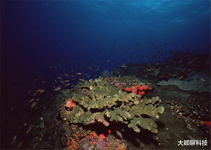 海底变化多端, 深海地区存在什么? 贸然闯入后果会怎样?