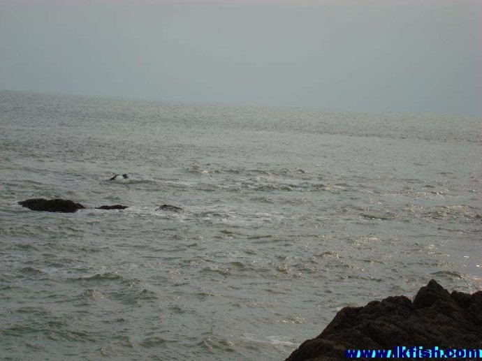 浮游矶钓基础知识之二十一：根据潮流、风、浪、光线、海水浑浊度选择钓场
