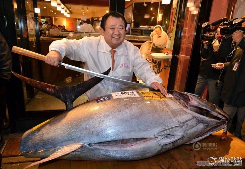 东京鱼市新年拍卖 巨型金枪鱼拍出近4万美元