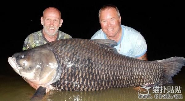男子用好友骨灰当鱼饵 钓到82公斤大鱼