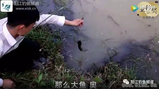 农村传承上千年的自动钓鱼神技，再现江湖