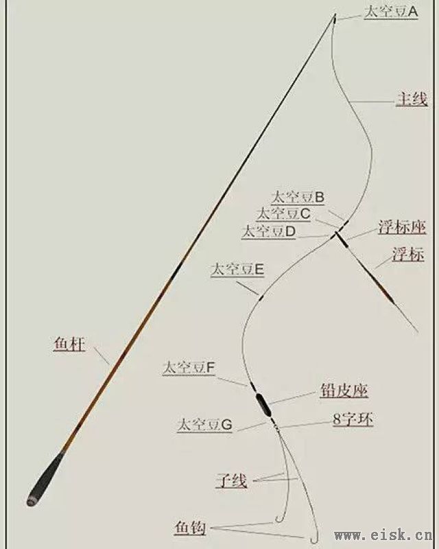 献给钓鱼新人：史上最全的主线、子线搭配建议及绑法