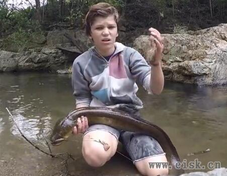 澳洲12岁男孩钓到淡水大鳗鱼 