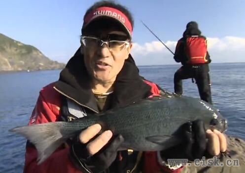 潮を読み グレを呼び込め！ 大分県南フィールドの磯釣り