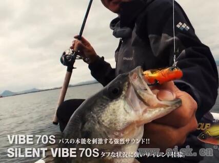 Bass Fishing HARDCORE X - in Lake Biwa(737)