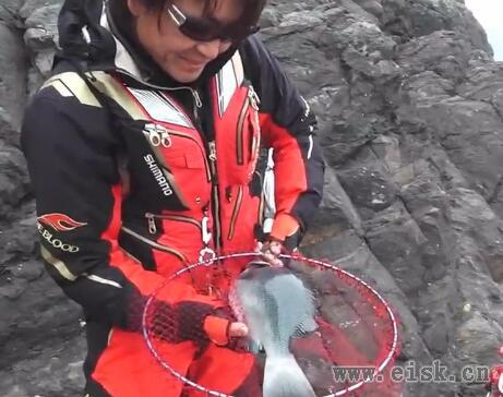 清水少尉が奮闘！大分県佐伯市鶴見の磯…後編 「ガンバエの四畳半」