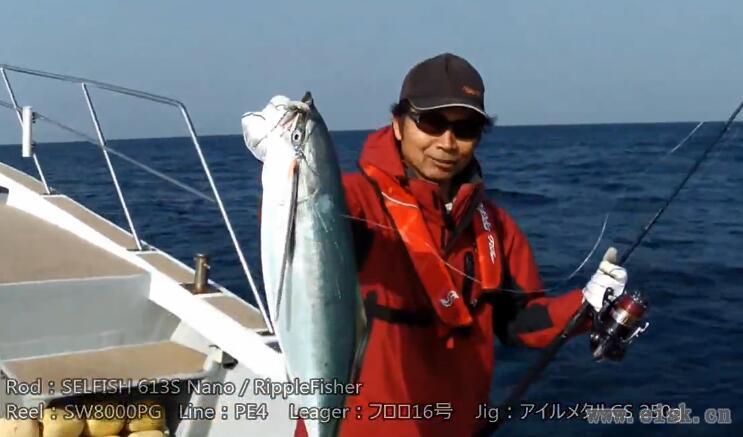 Yellowtail fishing with RippleFisher SELFISH622S Nano