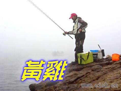 釣具工房 磯釣粉實戰 巨物千又 台山三杯篇
