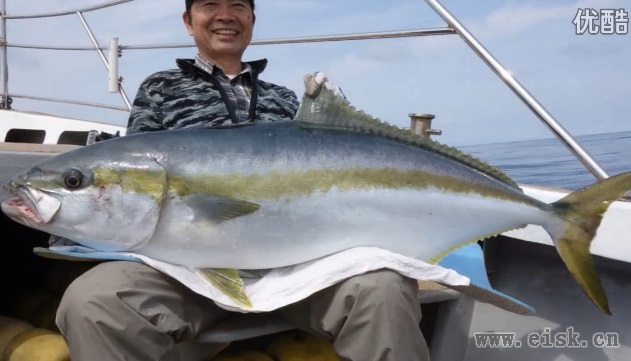 YellowTail Casting with RippleFisher Aquila856 Nano in Genkainada