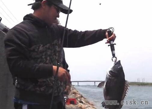 遊撃釣行部隊 男三人のホリデーフィッシング…