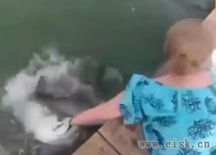 女子趴在桥上喂鱼，下一秒却发生超可怕的事