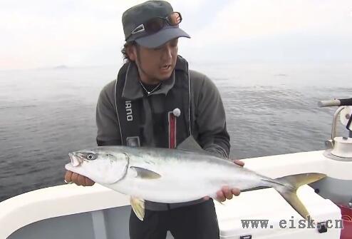 Shimano #062 長崎県・上五島青物ゲーム