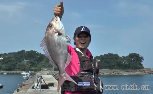 長崎県・高島手軽な防波堤で狙う良型マダイ～入江幸太～
