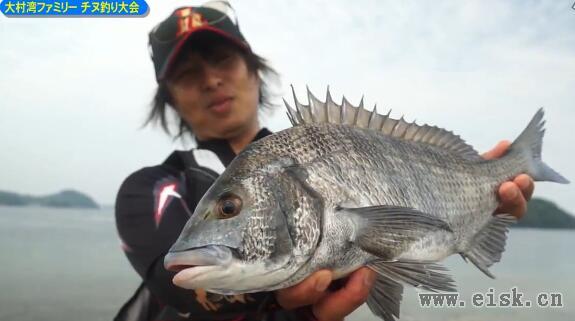 大村湾ファミリーチヌ釣り大会