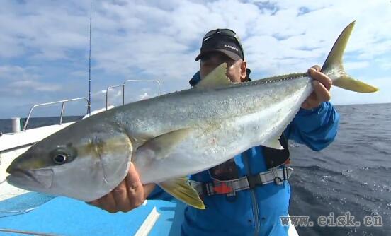 魚種の宝庫 玄界灘！鯛ラバ＆落し込みでヒラマサ・マダイを狙う