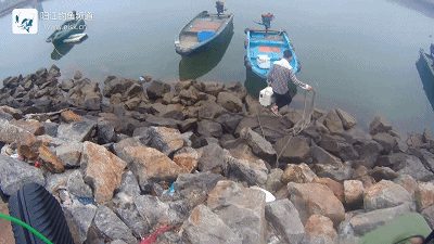 正式.mp4_1492267821.gif