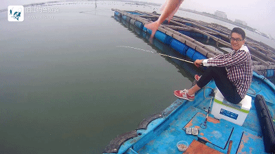 正式.mp4_1492267525.gif