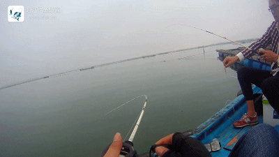 正式.mp4_1492269141.gif