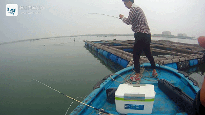 正式.mp4_1492269393.gif