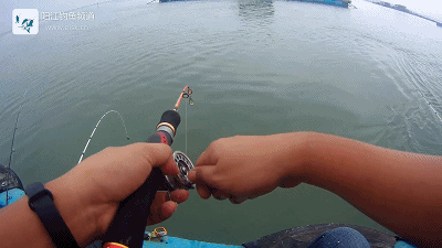 正式.mp4_1492270060.gif