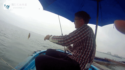 正式.mp4_1492270584.gif