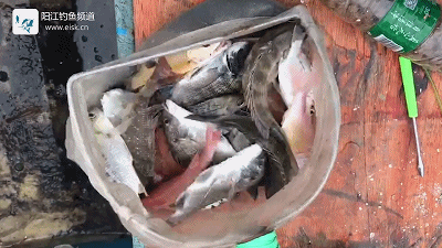 正式.mp4_1492270753.gif