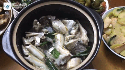 正式.mp4_1492270807.gif
