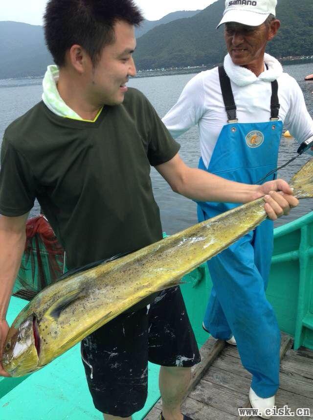 路亚水面系绝对的视觉盛宴--鲯鳅 鬼面刀