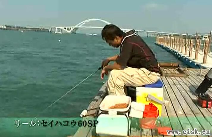 [日本]山本太郎筏钓黒鯛