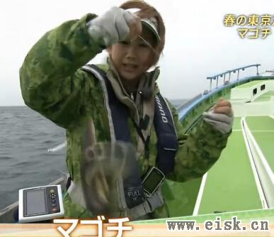 釣りロマンを求めて「℃-ｕｔｅ再び！春の東京湾で