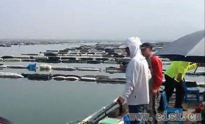 牡蛎排钓场介绍和筏矶钓法讲解