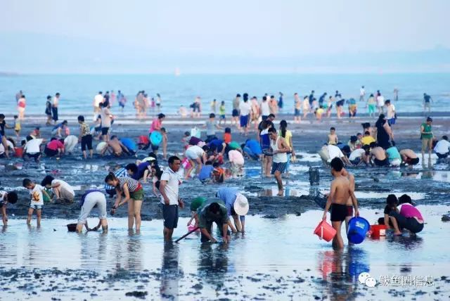 走，鲅鱼圈赶海去！你带着我，我带着最强赶海秘籍……