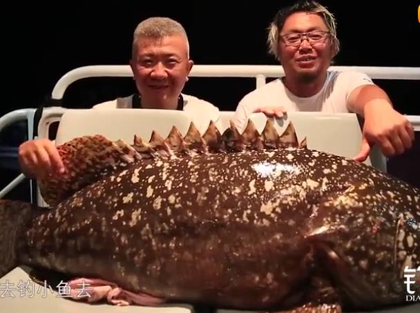 100多斤的大石斑鱼你见过吗？这位钓鱼人给钓上来了！