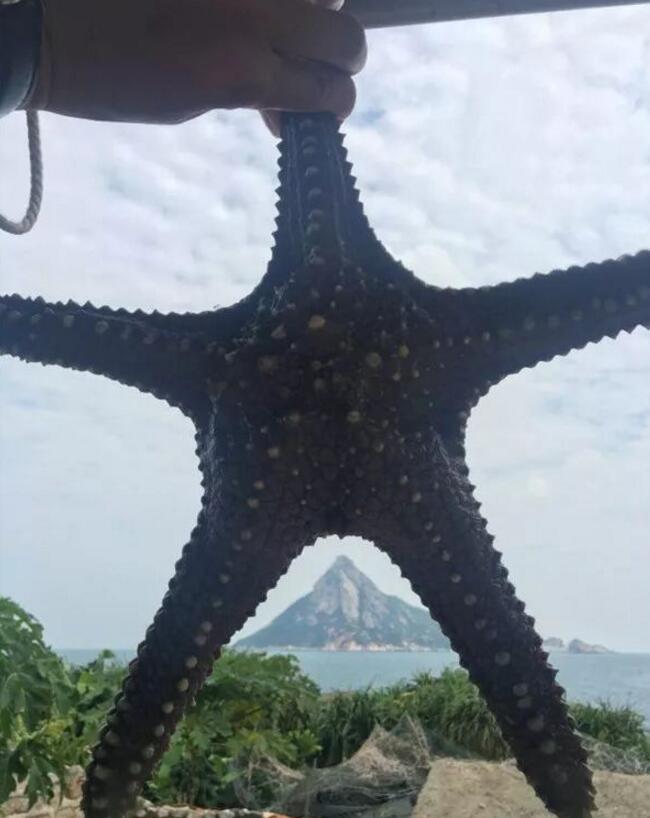 3.jpg 3.jpg