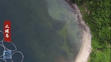 lv_0_202107311414232021815130343.gif lv_0_202107311414232021815130343.gif